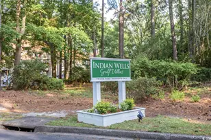 310 Indian Wells Ct, Murrells Inlet, SC 29576 - Photo 24