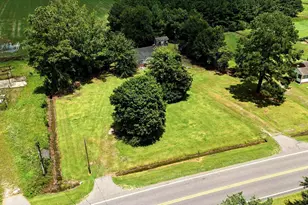 7330 Hwy 9, Nichols, SC 29581 - Photo 12