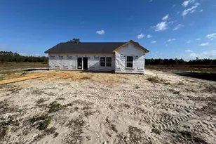 8555 Black Creek Rd, Nichols, SC 29581 - Photo 2