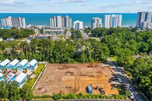 410 Flounder Way, Myrtle Beach, SC 29577 - Photo 10