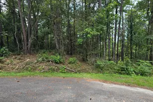 1051 Irene Ct, Conway, SC 29526 - Photo 1
