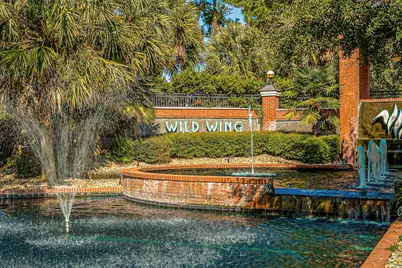 1102 Barrington Way, Conway, SC 29526 - Photo 38