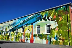 997 Cherrystone Loop, Conway, SC 29526 - Photo 36