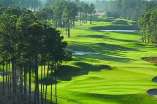 1817 Wood Stork Dr, Conway, SC 29526 - Photo 26