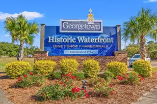 270 Six Mile Crk Dr, Georgetown, SC 29440 - Photo 24