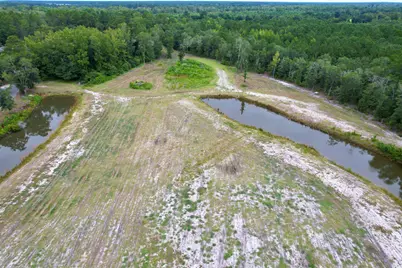 547 Hodges Rd., Kingstree, SC 29556 - Photo 8