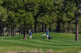 4635 Wild Iris Dr, Myrtle Beach, SC 29577 - Photo 32