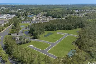 408 Fountain Grass Ct, Murrells Inlet, SC 29576 - Photo 16