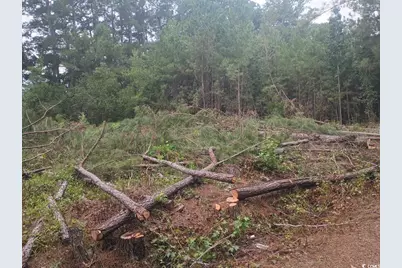 Lot 10-D McGregor Circle, Lake City, SC 29560 - Photo 2