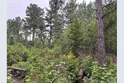 Lot 10-D McGregor Circle, Lake City, SC 29560 - Photo 1