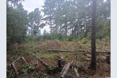 Lot 11-D McGregor Circle, Lake City, SC 29560 - Photo 2