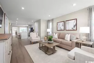 424 Fountain Grass Ct, Murrells Inlet, SC 29576 - Photo 2