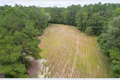 1582 Santee Rd., Andrews, SC 29510 - Photo 32