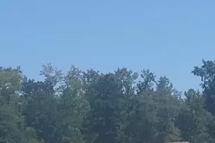 2470 Wigley Rd, Loris, SC 29569 - Photo 2