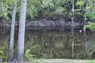 115 Roberts Ln, Salters, SC 29590 - Photo 14