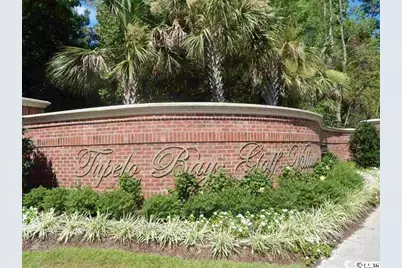 1029 Ray Costin Way #Villa 903, Murrells Inlet, SC 29576 - Photo 30