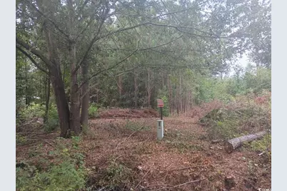 Lot 12-D McGregor Circle, Lake City, SC 29560 - Photo 2