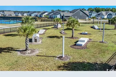 4028 Viola Loop, Myrtle Beach, SC 29579 - Photo 10