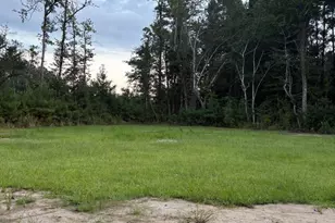 3470 Sadie Circle, Conway, SC 29527 - Photo 32