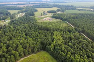 Lot 10 Tooge Hayes Rd, Mullins, SC 29574 - Photo 1