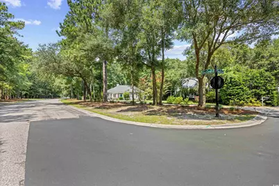 16 Gray Fox Loop, Pawleys Island, SC 29585 - Photo 36