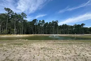 465 Ireland Way, Murrells Inlet, SC 29576 - Photo 20