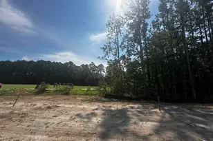 412 Ireland Way, Murrells Inlet, SC 29576 - Photo 12