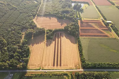 61.77 Acres-Tbd Marion Church Rd., Salters, SC 29590 - Photo 10