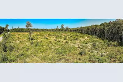 Tbd Pitch Landing Rd., Conway, SC 29527 - Photo 14