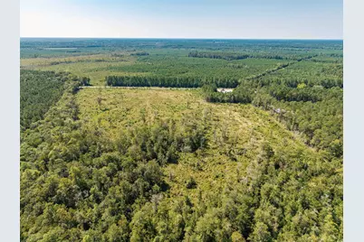 Tbd Pitch Landing Rd., Conway, SC 29527 - Photo 6