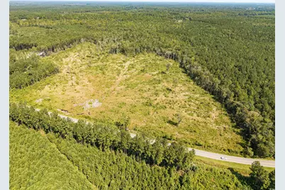 Tbd Pitch Landing Rd., Conway, SC 29527 - Photo 1