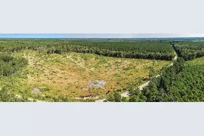 Tbd Pitch Landing Rd., Conway, SC 29527 - Photo 12