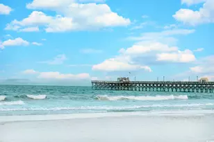 1020 Ray Costin Way, Garden City, SC 29576 - Photo 40