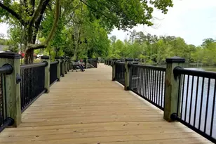 304 Kiskadee Loop, Conway, SC 29526 - Photo 38