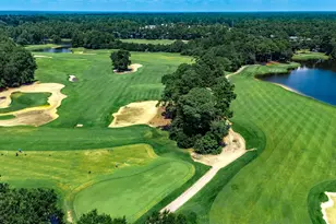 1135 Blue Stem Dr, Pawleys Island, SC 29585 - Photo 34
