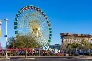 156 Harvest Gold Dr, Conway, SC 29526 - Photo 36