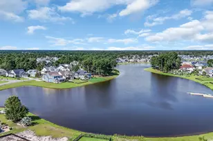 3270 Moss Bridge Lane, Myrtle Beach, SC 29579 - Photo 38