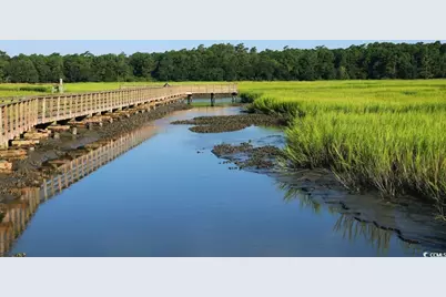 Tbd Anna Marie Way, Murrells Inlet, SC 29576 - Photo 22