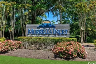 521 Ryegrass Way, Murrells Inlet, SC 29576 - Photo 18
