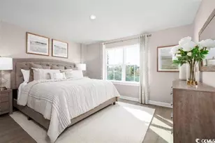 521 Ryegrass Way, Murrells Inlet, SC 29576 - Photo 12