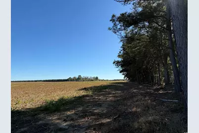 52 Acres-Tbd Vox Hwy., Lake City, SC 29560 - Photo 2