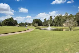 1002 Cherrystone Loop, Conway, SC 29526 - Photo 30