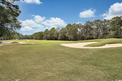 1006 Cherrystone Loop, Conway, SC 29526 - Photo 34