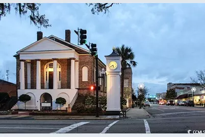 1006 Cherrystone Loop, Conway, SC 29526 - Photo 38