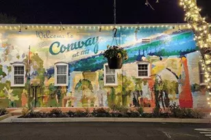 115 Westfield Cir, Conway, SC 29526 - Photo 12