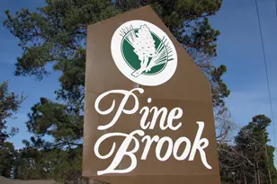 3931 Pinebrook Cir, Little River, SC 29566 - Photo 32