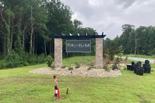 146 River Birch Dr, Loris, SC 29569 - Photo 8