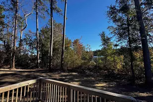 300 Purdue Ct, Galivants Ferry, SC 29544 - Photo 34