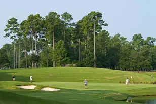 158 Westfield Cir, Conway, SC 29526 - Photo 16