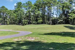 208 Lander Dr, Conway, SC 29526 - Photo 38